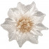 БЛЮДО POINSETTIA WHITE GOLD 21СМ БЕЗ УПАКОВКИ (МАЛ 8ШТ) БЛЮДО POINSETTIA WHITE GOLD 21СМ БЕЗ УПАКОВКИ (МАЛ 8ШТ)
