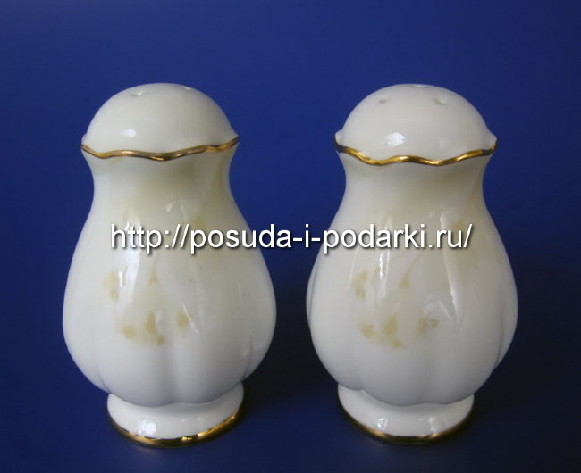 Набор для специй Магнолия Крем (золотая лента) 2 предмета