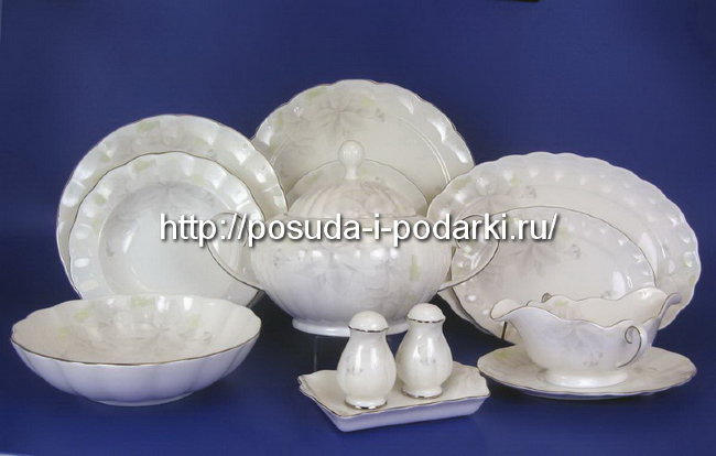 Cтоловый cервиз (обеденный сервиз) Австрия на 6 персон Магнолия Грэй (платиновая лента) 29 предметов
