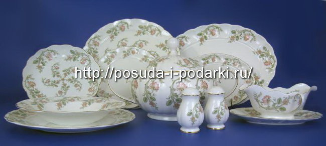 Столовый сервиз (обеденный сервиз) Австрия на 6 персон Магнолия Персия (золотая лента) 28 предметов